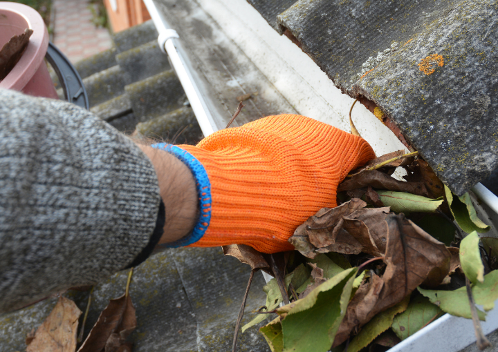 The Role of Gutter Cleaning in Home Maintenance